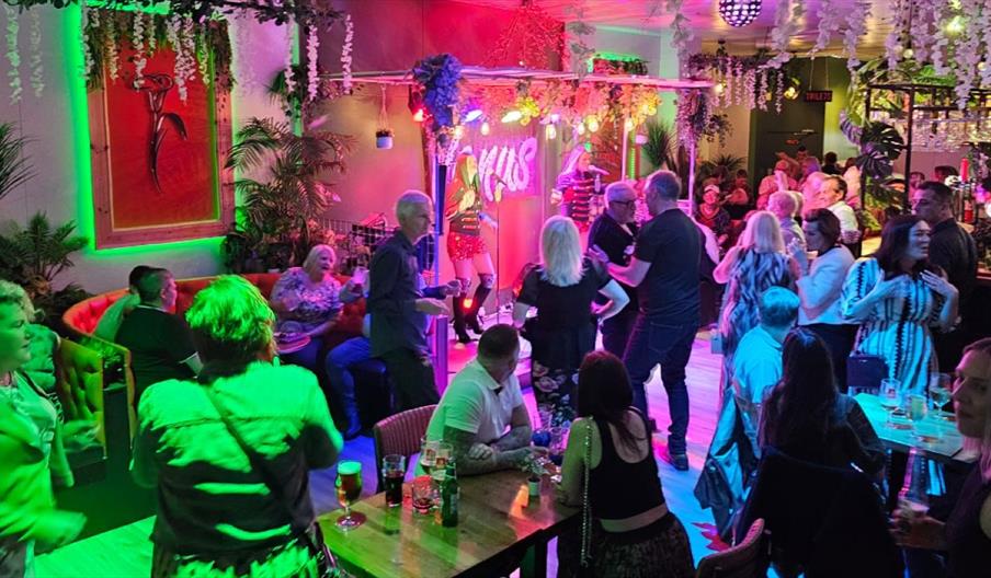 People enjoy live music and dancing in a vibrant indoor venue decorated with hanging plants and colourful lighting, with tables, drinks and a busy cro