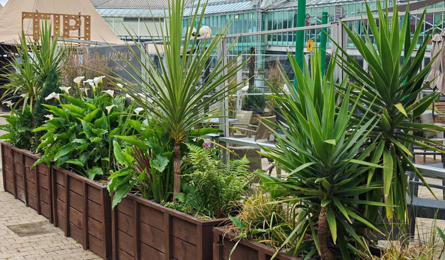 Outside exterior showing a lovely seating area with plenty of greenery, overlooking Princes Quay Shopping Centre.