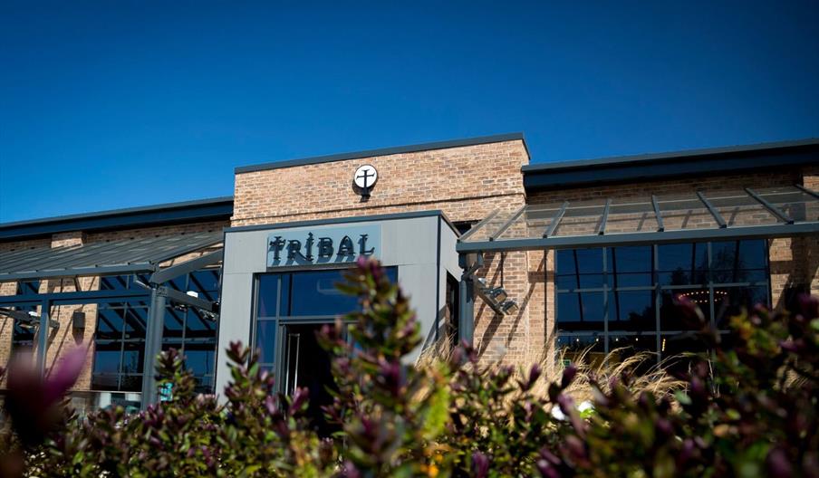Exterior view of Tribal Bar, a modern brick building with large windows and a metal awning, with "TRIBAL" written above the entrance and some green an