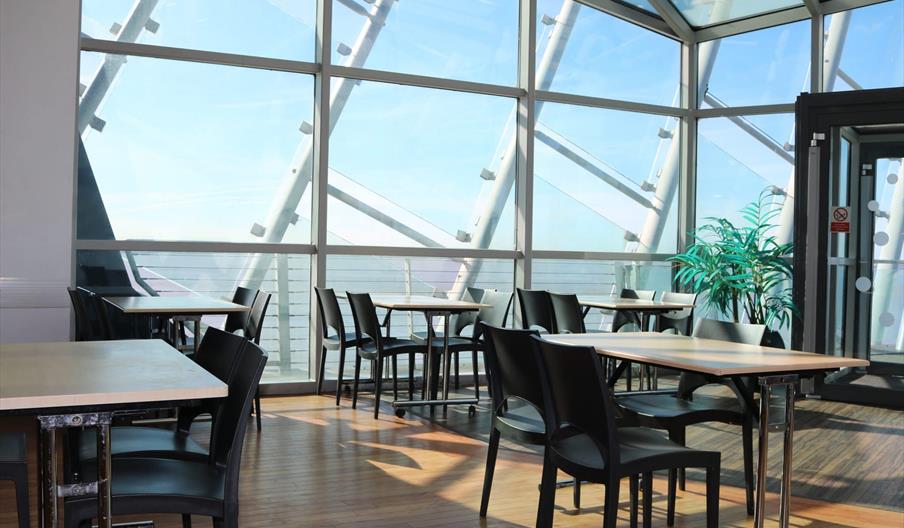 A bright, modern cafe interior in The Deep with wooden floors, black chairs, and light wooden tables near large glass windows and a glass ceiling, let