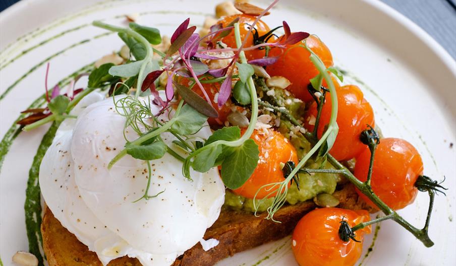 A plate of avocado toast topped with a poached egg, roasted cherry tomatoes on the vine, microgreens, and seeds, served on a white plate with green sa