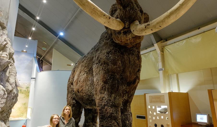 A small family stand underneath a lifesize Mammoth model that towers over them.