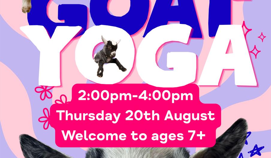 A vibrant image pink and blue with a goat