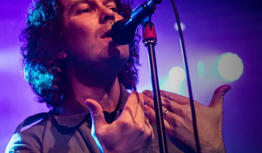 A person with curly hair sings into a microphone on stage, gesturing with their hands, with colorful stage lights in the background.
