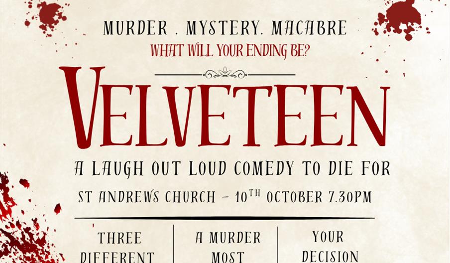 Poster of Velveteen with descriptions