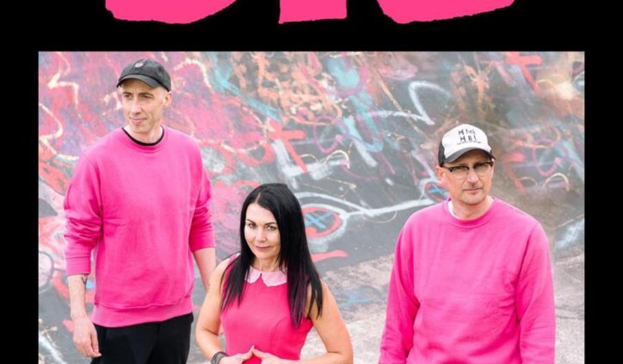 Promotional poster for a Bis concert featuring a photo of three band members dressed in pink in front of a graffiti-covered wall, with event details s