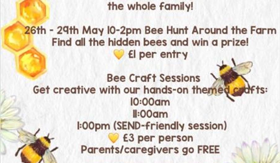 A colorful poster with illustrations of bees, honeycomb, and white flowers, advertising a bee-themed half term event at a farm. The poster details dat