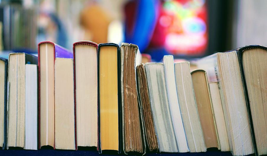 A selection of hardback books on a wooden shelf.