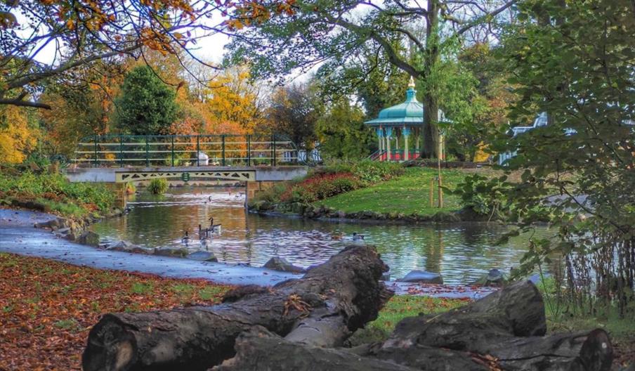 Pearson Park in Autumn, A winding lake filled with ducks and geese flows under an ornate green bridge. On all sides green banks peppered with orange l
