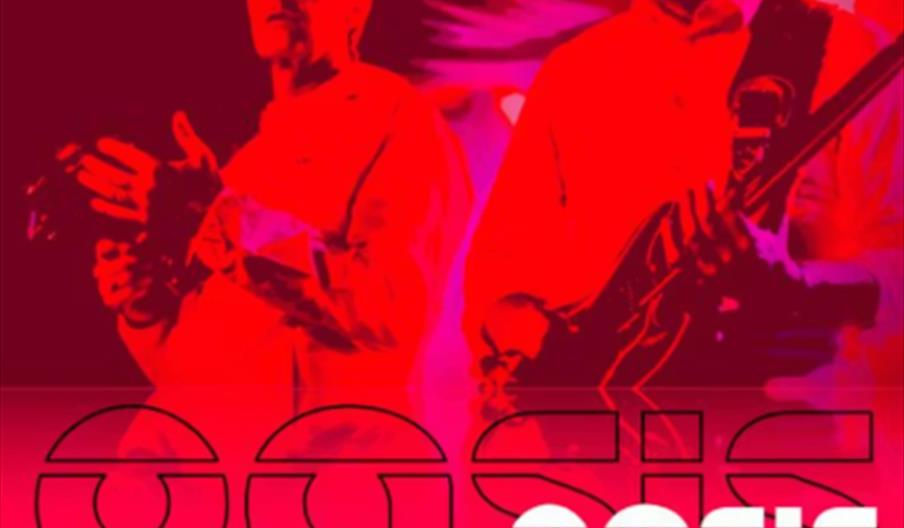 Two musicians, tinted in red and pink lighting, perform with one singing into a microphone and the other playing guitar. Bold text reads "Oasis: The D