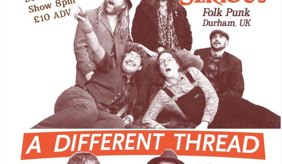 A poster for a live music event at The New Adelphi Club in Hull, UK, featuring two bands: Driven Serious (folk punk from Durham, UK) and A Different T