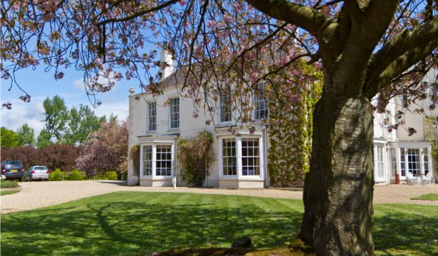 Outsideview of the Grange building with gravelled drive way and mature tree in the foreground.