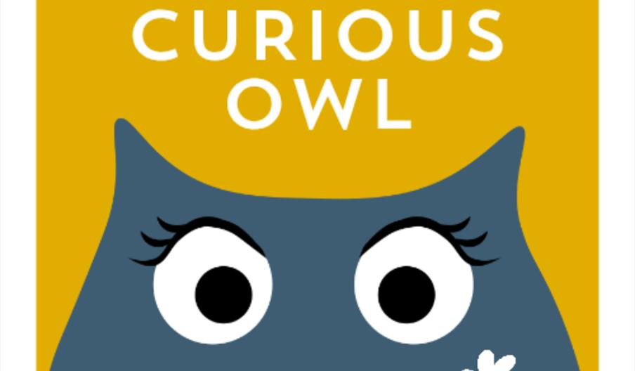 A cartoon blue owl on a yellow background. On its face it has a daisy and above its head are the words 'The Curious Owl' in white lettering.