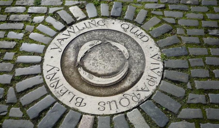 A circular stone marker set into cobblestones, featuring three carved fish in the center and the words "YAWLING QUID VIVIPAROUS BLENNY" engraved aroun
