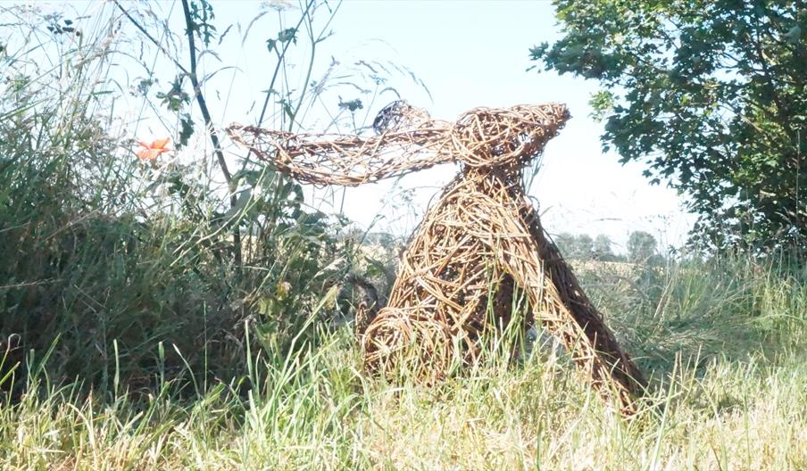A life-sized hare sculpture made of woven willow branches stands on a forest path surrounded by bare trees, fallen leaves, and patches of green grass.