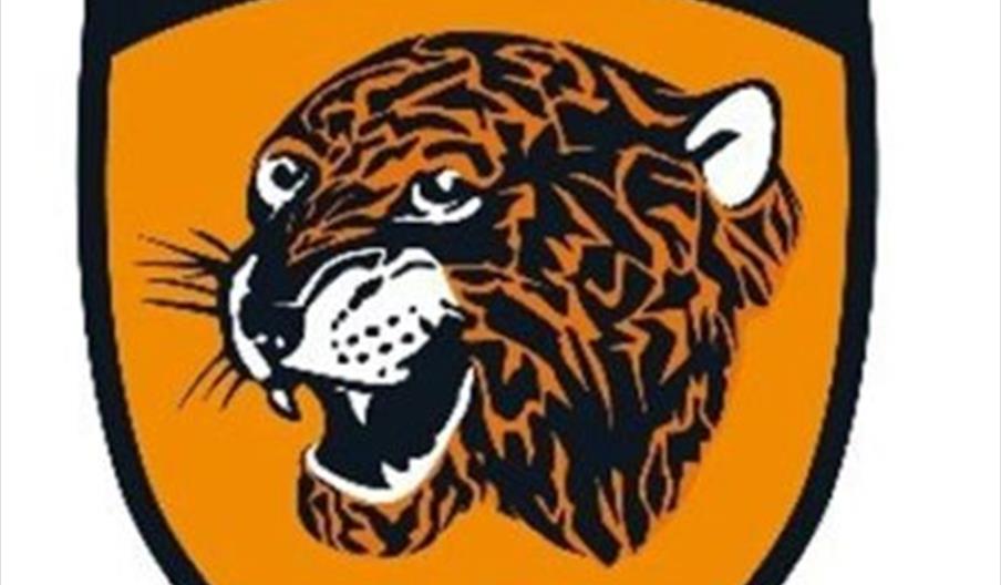 A shield-shaped logo with a stylized tiger's head in the center, the words "Hull City" at the top, and the number "1904" at the bottom. The background