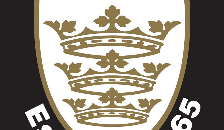Crest logo for Hull F.C. featuring three gold crowns on a white shield, with the words "HULL F.C." above and "Est. 1865" below.