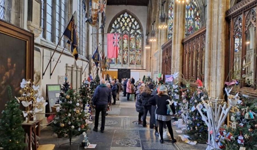 People are walking and viewing decorated Christmas trees set up inside a large, ornate church with stained glass windows and high arched ceilings. The