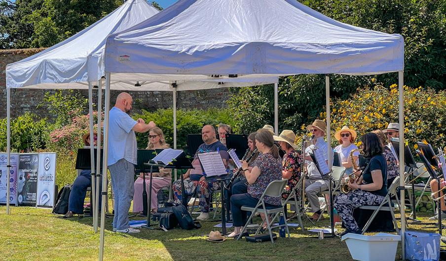 The band playing on the lawns