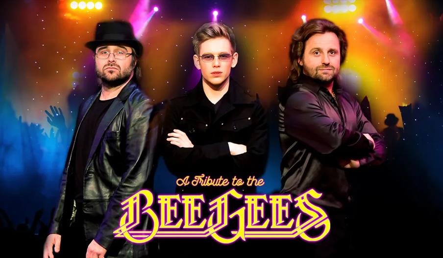 Three men dressed in black pose confidently under colorful stage lights, with "A Tribute to the Bee Gees" written in bold, stylized yellow lettering a