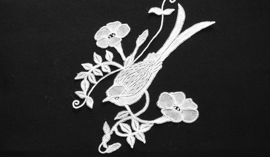 Lace Bird