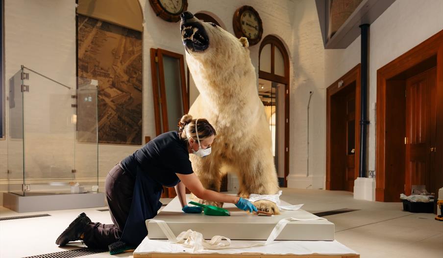 A woman wearing a face mask cleaning the paw of a stuffed polar bear in a museum.