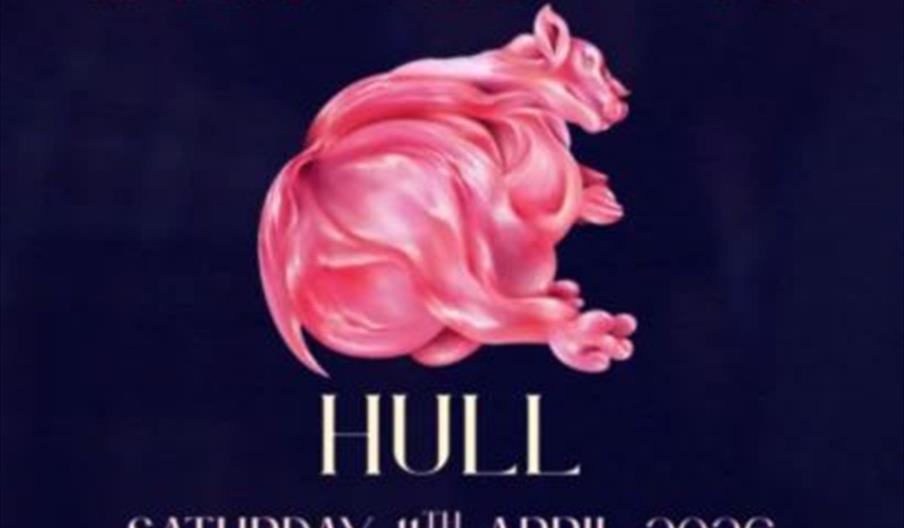 A concert poster for "Nontaines S.C.," a Fontaines D.C. tribute band, with a pink illustrated rat in the center and event details below for a show in