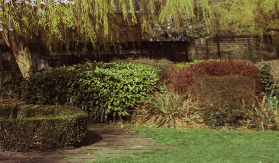 Several bushes and trees in Pickering Park in Hull.