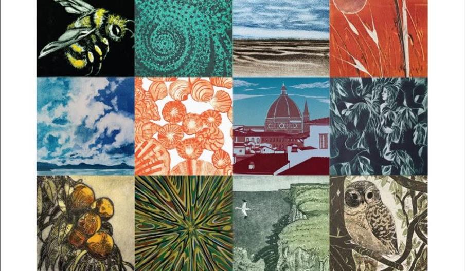 Poster for the Hull Print Collective 'Summer' Exhibition at Studio Eleven, featuring a grid of twelve small-scale colorful prints, including images of