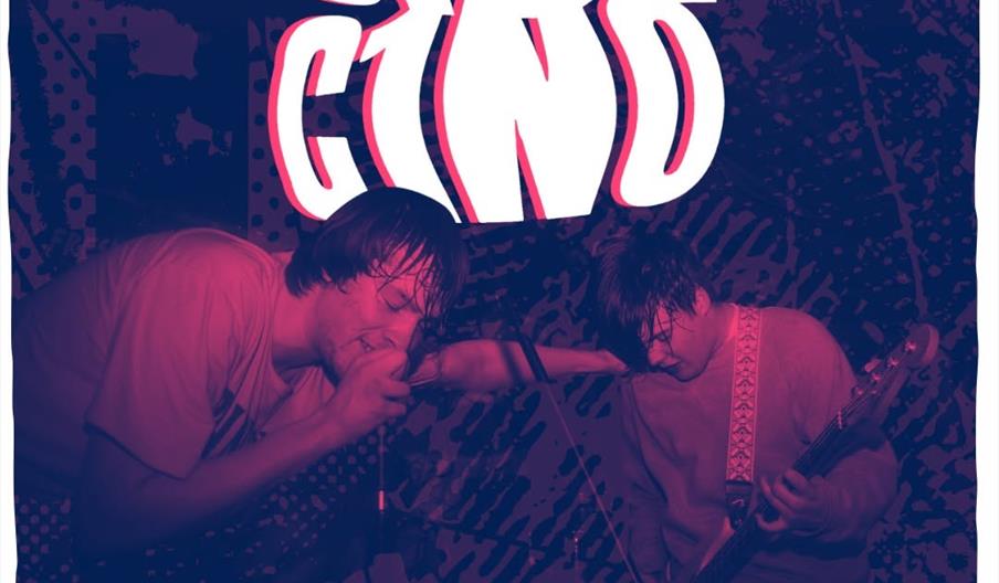 Concert poster with a purple and pink filtered photo of two musicians performing, one singing into a microphone and the other playing a guitar. Large