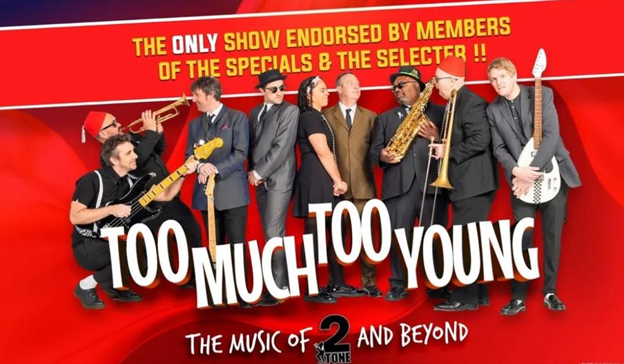 Promotional image featuring eight musicians holding instruments, standing against a red background with large text stating "TOO MUCH TOO YOUNG" and sm