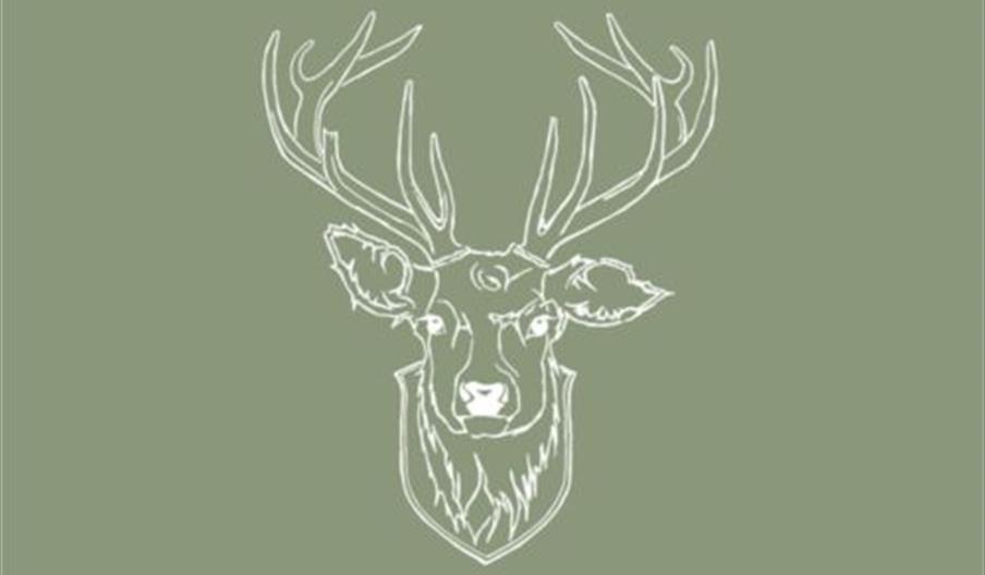 Simple white line drawing of a stag's head with large antlers, cantered on a muted green background.