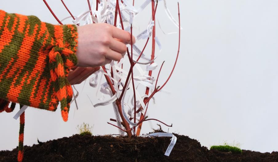 A person wearing an orange and green striped sweater ties or attaches strips of white paper with printed text onto the thin red branches of a small tr