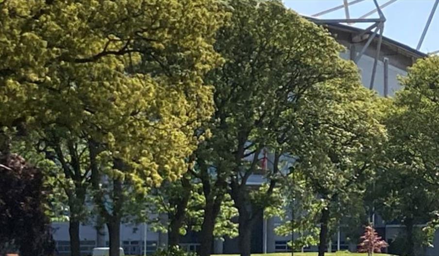 Several large, leafy trees in full bloom in West Park are shown in the foreground, with a modern building partially visible behind them and metal fram