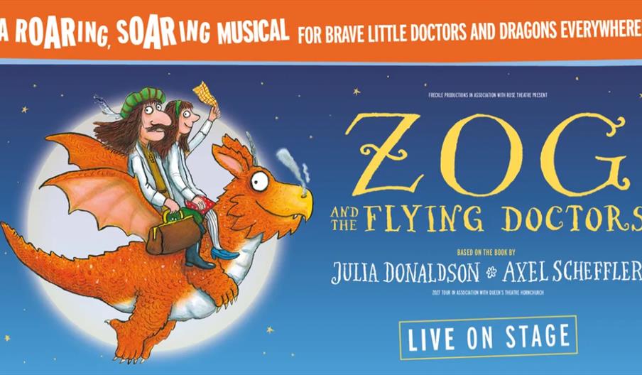 Illustration of two cartoon doctors riding on an orange dragon in front of a full moon, with stars in the background. Bold text reads "Zog and the Fly