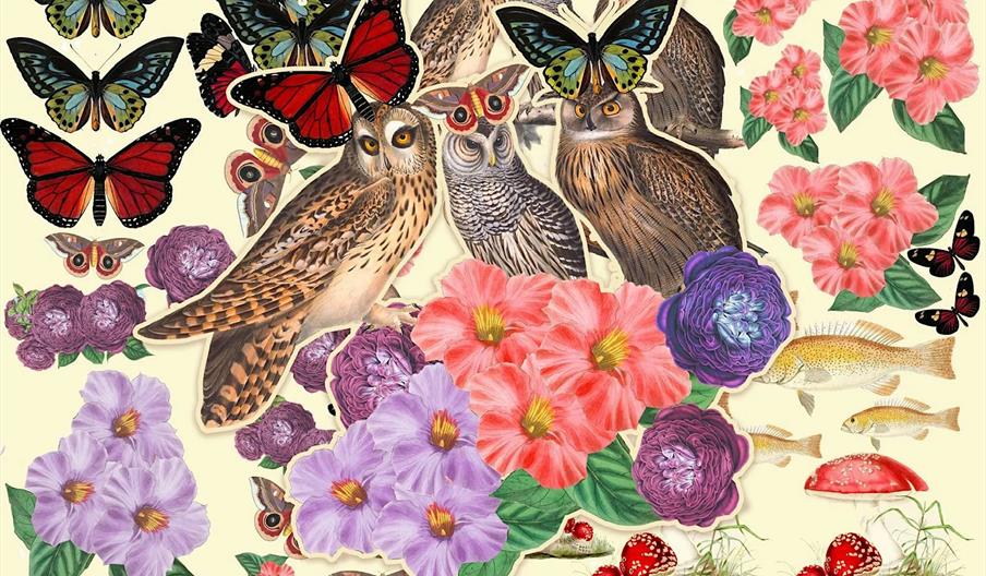 A collage-style illustration featuring several owls, colorful butterflies, red and purple flowers, violet and red blooms, fish, and red-capped mushroo