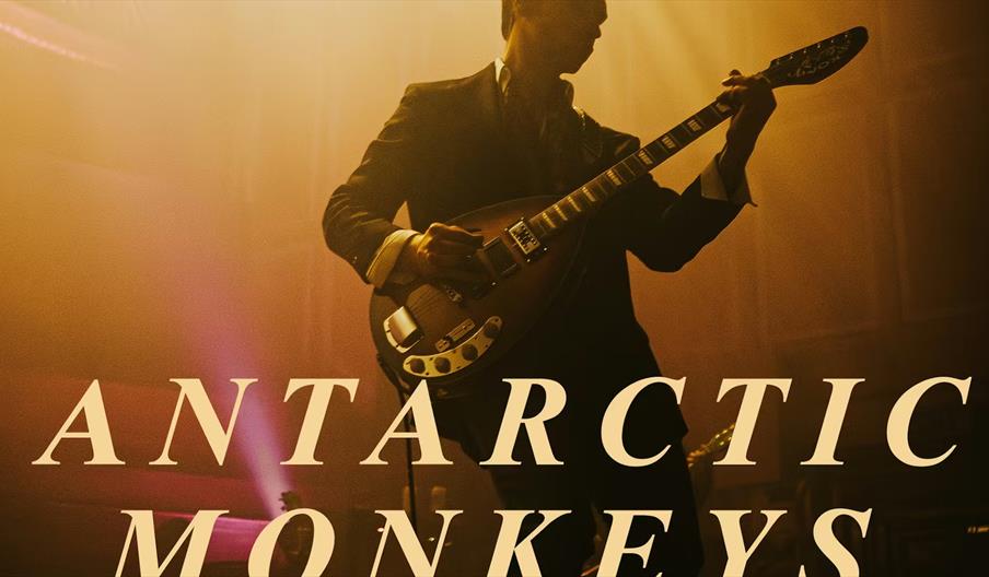 A musician in a suit plays an electric guitar on stage under warm, dramatic lighting. Large text in the foreground reads "ANTARCTIC MONKEYS."