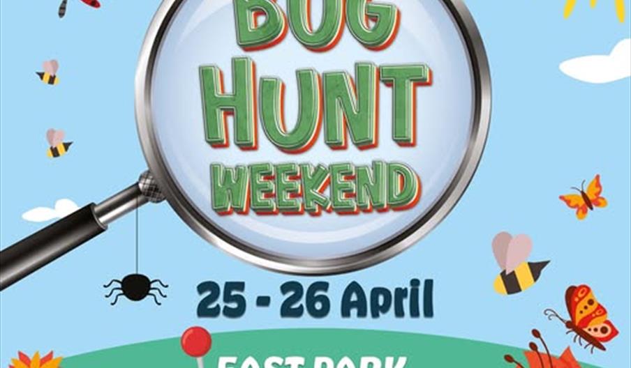 Colorful illustration of a sunny garden with flowers, bees, butterflies, ladybugs, a dragonfly, a hanging spider, and a snail among green grass and pl