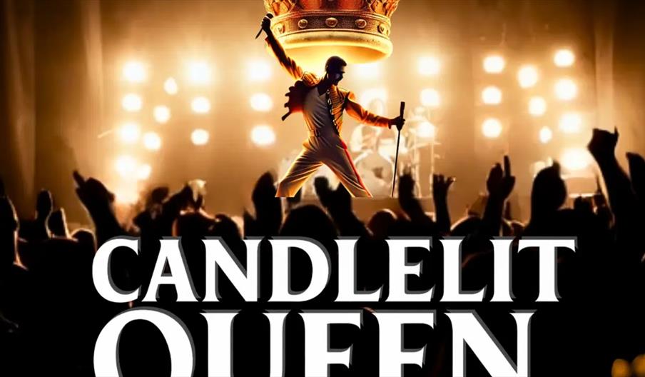 An illustration of a performer in a dynamic pose with one arm raised and a microphone stand, standing on stage under bright lights with a large crown