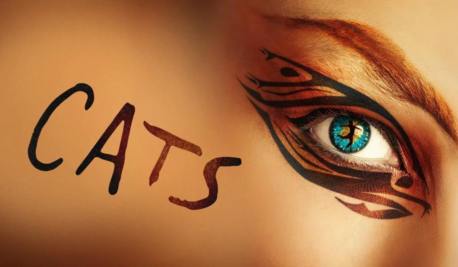 Close-up of a person's face with elaborate, cat-like black and orange eye makeup and a bright blue eye featuring the silhouette of a cat; the word "CA
