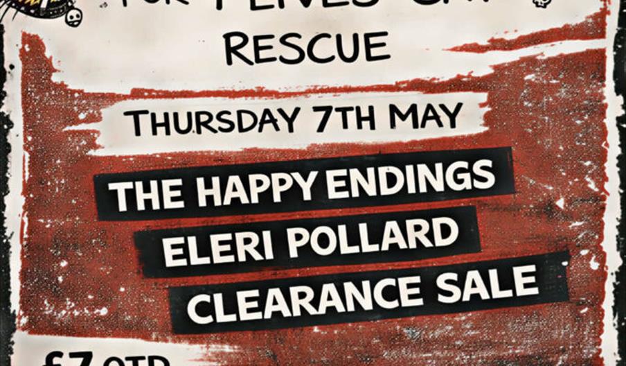 A promotional poster for a benefit gig called "Cool 4 Cats" featuring illustrated cats with sunglasses and stud collars. The event is in support of 9