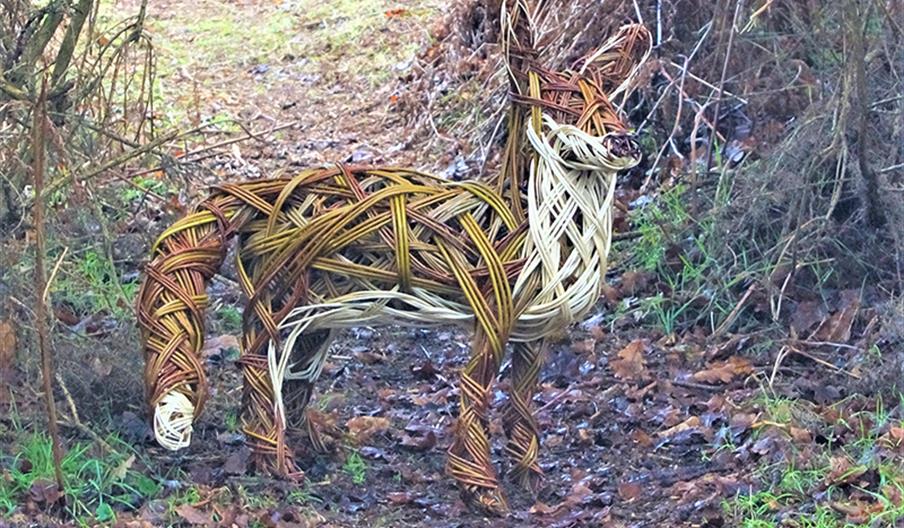 A life-sized fox sculpture made of woven willow branches stands on a forest path surrounded by bare trees, fallen leaves, and patches of green grass.