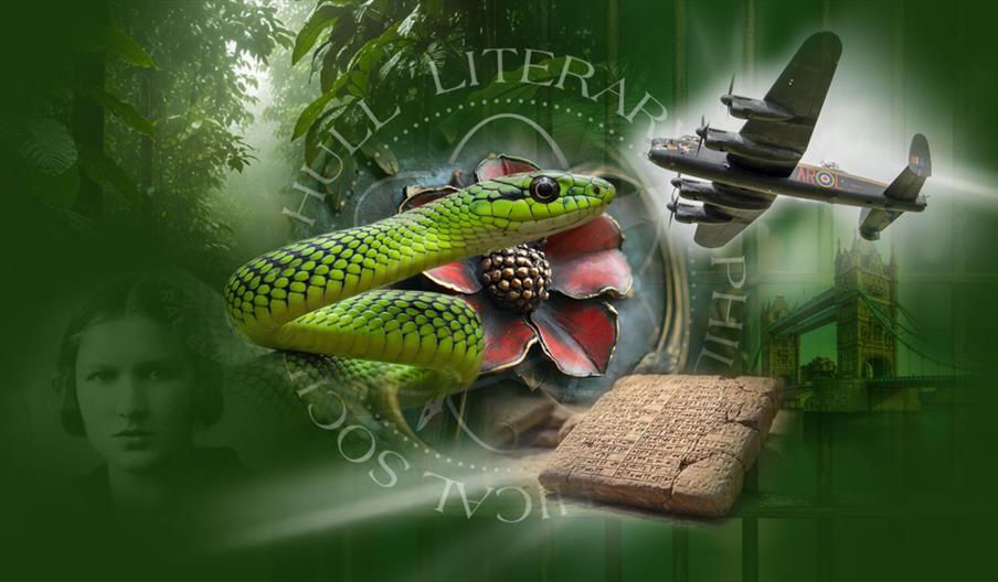 A collage featuring a green snake on a red flower, a vintage airplane flying, an ancient clay tablet with inscriptions, a misty jungle, and a faint po