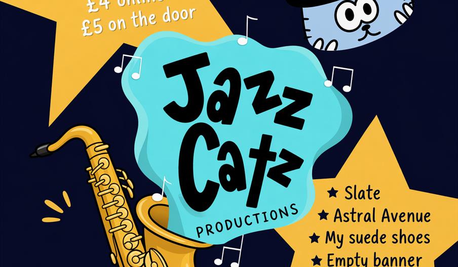 Colourful poster for a Jazz Catz Productions fundraiser event, featuring a cartoon cat in a top hat, a saxophone, large yellow stars with event detail