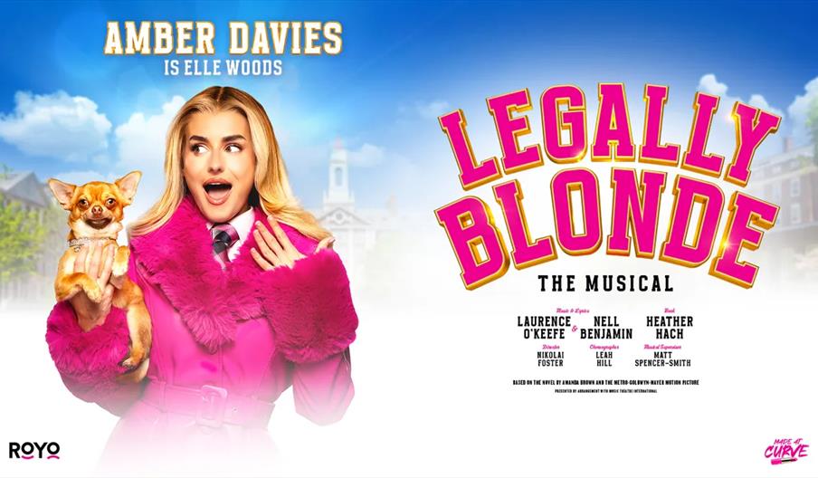 Promotional poster for "Legally Blonde The Musical" featuring Amber Davies dressed as Elle Woods in a bright pink coat, holding a small dog. Bold pink