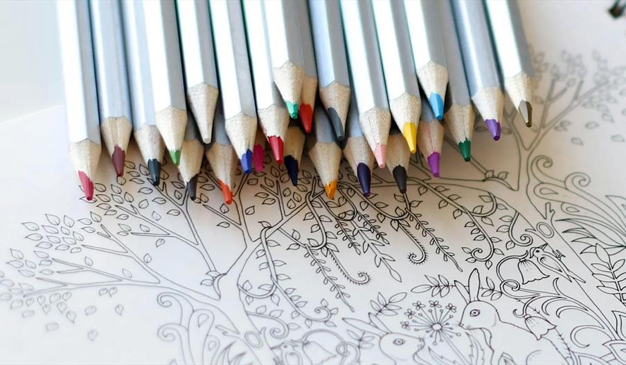A set of colored pencils lies on top of a black-and-white coloring page featuring an intricate drawing of a tree with leaves, a rabbit, and birds.