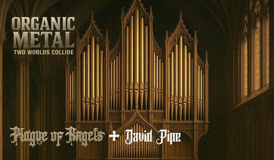 A large, ornate pipe organ is centered in a dimly lit gothic cathedral, with the text "ORGANIC METAL TWO WORLDS COLLIDE" in the upper left, and "Plagu