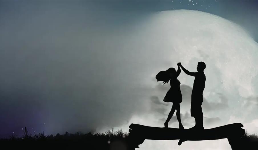 Silhouette of a couple dancing on a log under a large, bright full moon with a night sky in the background. Grass and small plants are visible at the