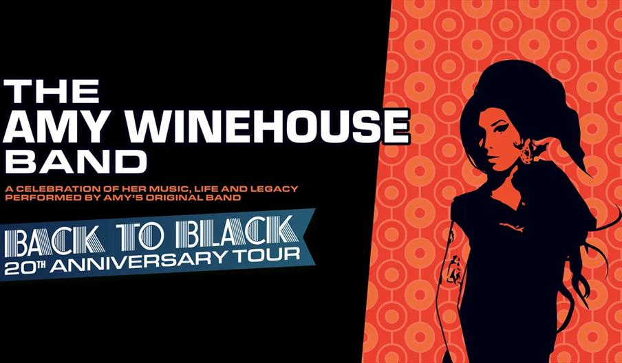 A stylized concert poster for "The Amy Winehouse Band: Back to Black 20th Anniversary Tour" featuring a silhouetted illustration of a woman with a bee