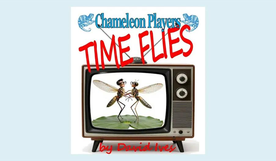Poster for a play titled "Time Flies" by David Ives, featuring an illustration of two anthropomorphic flies sitting together on a lily pad inside an o